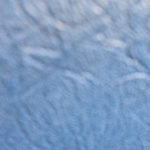 Meet your Posher, Joey